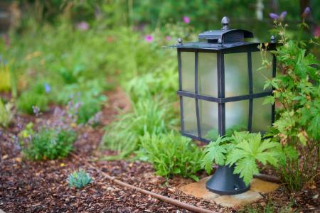 Landscape Lighting Thumbnail